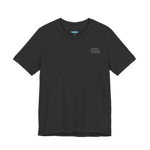 Bad Sample - Bella+Canvas