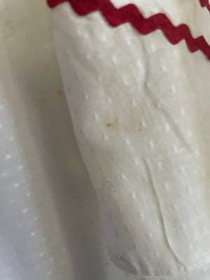 Red and white Swiss dot vintage apron blemish