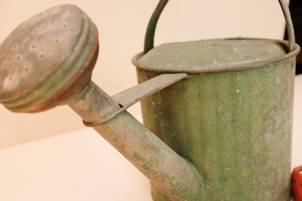 Violet's watering can and shovel