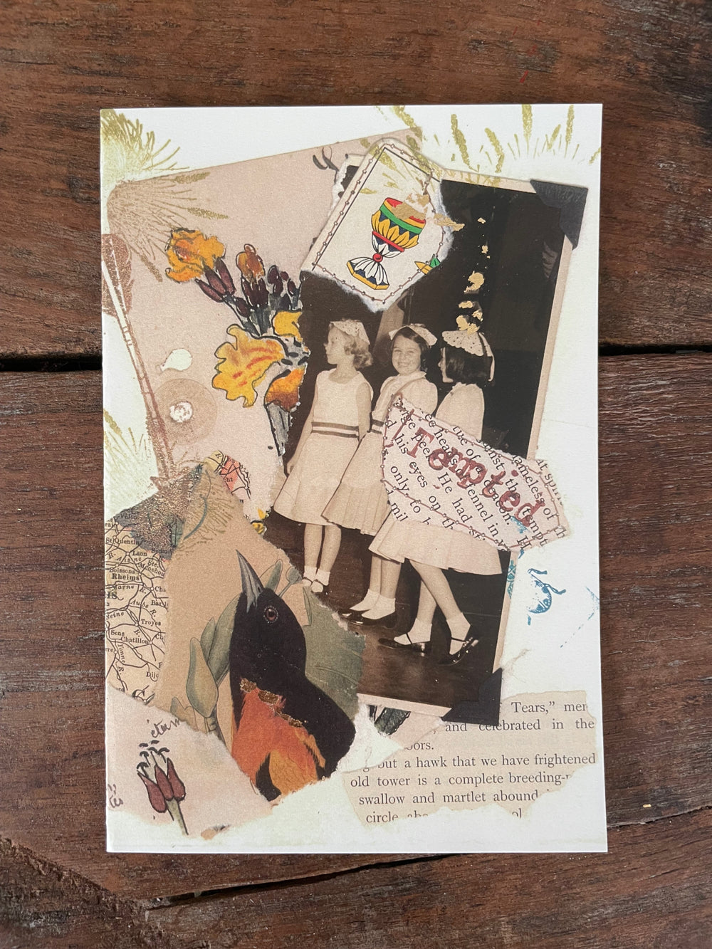 Carolyn's cooped up pack of artistic printed cards
