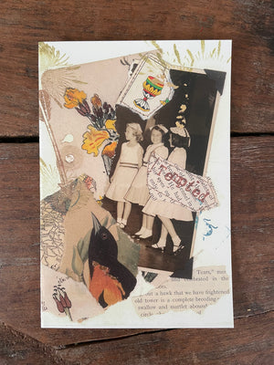 Carolyn's cooped up pack of artistic printed cards
