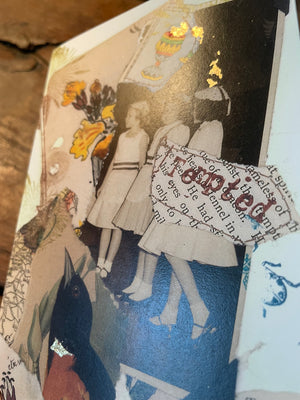 Carolyn's cooped up pack of artistic printed cards